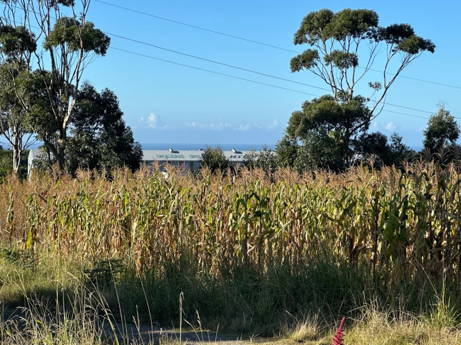 Commercial Property for Sale in Graceland Eastern Cape